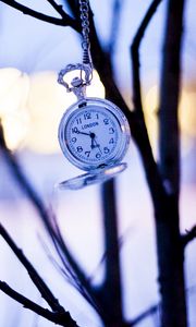 Preview wallpaper watches, branches, winter, pocket watch