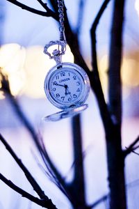 Preview wallpaper watches, branches, winter, pocket watch