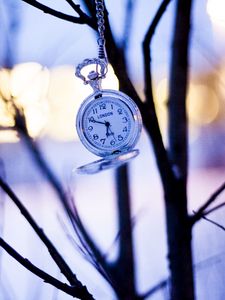 Preview wallpaper watches, branches, winter, pocket watch