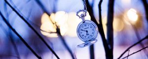 Preview wallpaper watches, branches, winter, pocket watch