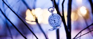 Preview wallpaper watches, branches, winter, pocket watch