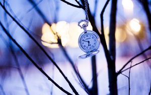 Preview wallpaper watches, branches, winter, pocket watch