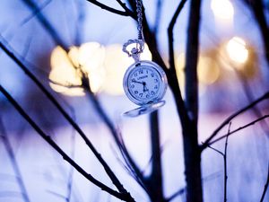 Preview wallpaper watches, branches, winter, pocket watch