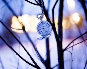 Preview wallpaper watches, branches, winter, pocket watch