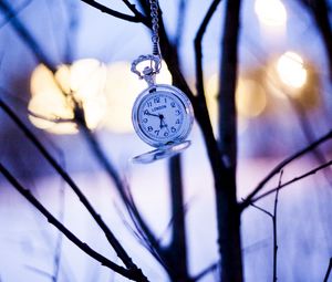 Preview wallpaper watches, branches, winter, pocket watch