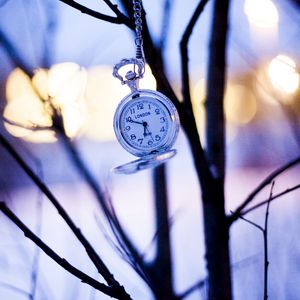 Preview wallpaper watches, branches, winter, pocket watch