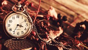 Preview wallpaper watches, pocket, autumn, berries, dry, chain dial