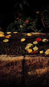 Preview wallpaper water, autumn, fallen leaves, flow