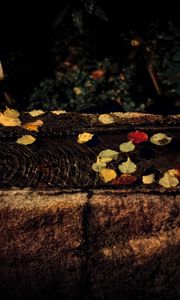 Preview wallpaper water, autumn, fallen leaves, flow