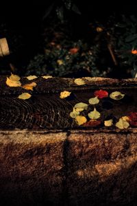 Preview wallpaper water, autumn, fallen leaves, flow