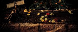 Preview wallpaper water, autumn, fallen leaves, flow