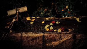 Preview wallpaper water, autumn, fallen leaves, flow