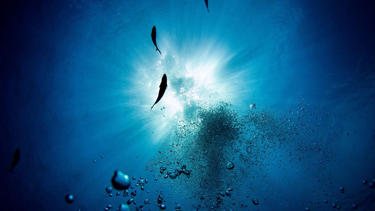 Wallpaper water, bubbles, fish, underwater, depth
