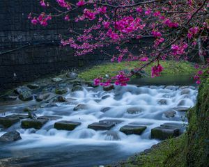 Preview wallpaper water, cascade, stones, tree, sakura, chinese, lanterns