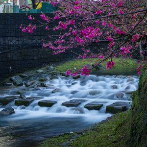 Preview wallpaper water, cascade, stones, tree, sakura, chinese, lanterns