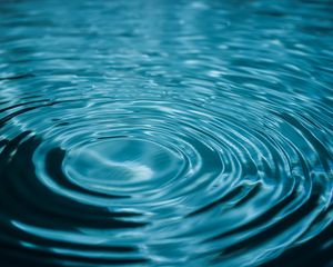 Preview wallpaper water, circles, close-up