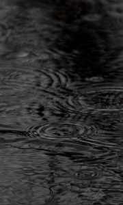 Preview wallpaper water, circles, waves, rain, black and white