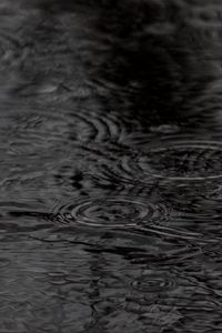 Preview wallpaper water, circles, waves, rain, black and white