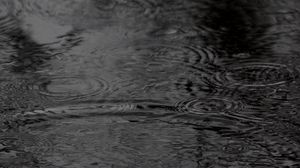 Preview wallpaper water, circles, waves, rain, black and white