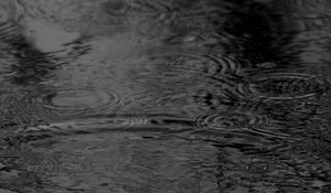 Preview wallpaper water, circles, waves, rain, black and white