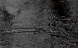 Preview wallpaper water, circles, waves, rain, black and white