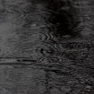 Preview wallpaper water, circles, waves, rain, black and white