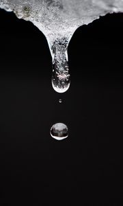 Preview wallpaper water, drop, macro, transparent