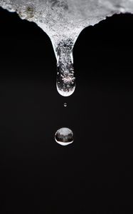 Preview wallpaper water, drop, macro, transparent