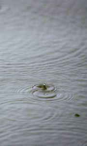 Preview wallpaper water, drop, ripples, macro