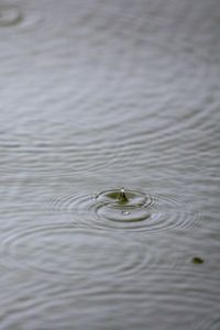 Preview wallpaper water, drop, ripples, macro