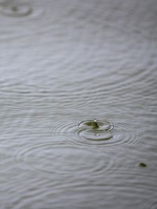 Preview wallpaper water, drop, ripples, macro