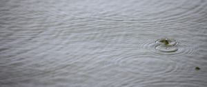 Preview wallpaper water, drop, ripples, macro