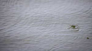 Preview wallpaper water, drop, ripples, macro