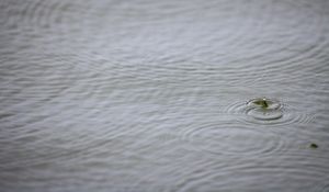 Preview wallpaper water, drop, ripples, macro