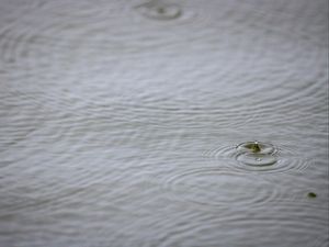 Preview wallpaper water, drop, ripples, macro