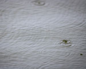 Preview wallpaper water, drop, ripples, macro
