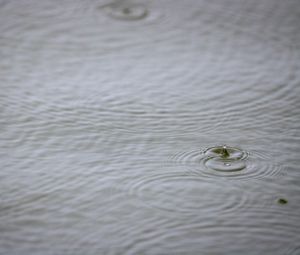 Preview wallpaper water, drop, ripples, macro