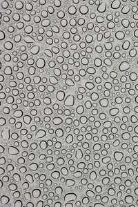 Preview wallpaper water, drops, macro, gray