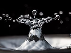 Preview wallpaper water, drops, splashes, macro, black and white