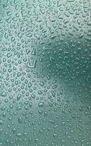 Preview wallpaper water, drops, wet, macro, green