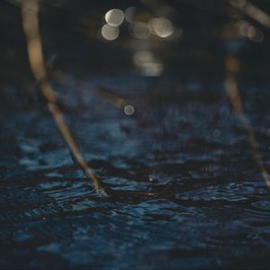 Preview wallpaper water, glare, circles, branches