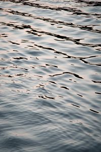 Preview wallpaper water, glare, waves, wavy, ripples