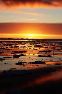 Preview wallpaper water, ice, ice floes, sunset, horizon