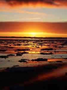 Preview wallpaper water, ice, ice floes, sunset, horizon