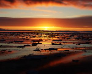 Preview wallpaper water, ice, ice floes, sunset, horizon