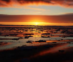 Preview wallpaper water, ice, ice floes, sunset, horizon