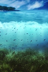 Preview wallpaper water, island, fishes, sea, bottom, vegetation, underwater world, art
