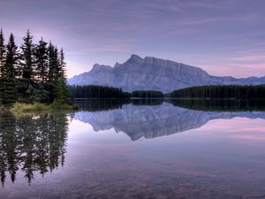 Preview wallpaper water, lake, mountains, reflection, mirror, fir-trees