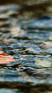 Preview wallpaper water, leaf, ripples, excitement