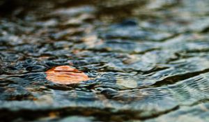 Preview wallpaper water, leaf, ripples, excitement